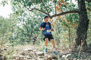 BIB: 
                            <button type="button" onclick="openModal(26108425)" class="btn btn-primary btn-sm float-right btn-popup" data-toggle="modal" data-target=".modal-high-quality">
                        <i class="fas fa-shopping-cart"></i> Add to Cart
                    </button>
                                            <button type="button" onclick="isThisMe(26108425, true)" class="btn btn-success btn-sm float-right btn-popup btn-isme hidden" data-toggle="tooltip" data-placement="bottom" title="นี่คือรูปของคุณใช่ไหม คลิกที่นี่เพื่อเอาเข้าอัลบั้ม">
                        <i class="fas fa-plus"></i> Add to album
                    </button>
                    <button type="button" onclick="isThisMe(26108425, false)" class="btn btn-warning btn-sm float-right btn-popup btn-isnotme hidden">
                        <i class="fas fa-ban"></i> Remove from album
                    </button>